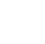 Graphic Designer